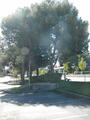 Image file: _1/photo03.jpg