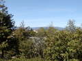 Image file: _1/photo14.jpg