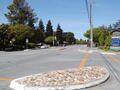 Image file: _2/photo25.jpg
