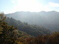 Image file: _1/photo01.jpg