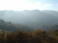 Image file: _1/photo03.jpg