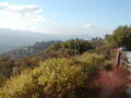 Image file: _1/photo05.jpg