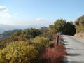 Image file: _1/photo06.jpg