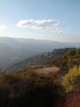 Image file: _1/photo07.jpg