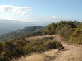 Image file: _1/photo09.jpg