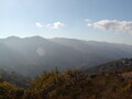 Image file: _1/photo10.jpg