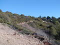 Image file: _1/photo11.jpg
