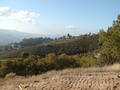 Image file: _2/photo16.jpg