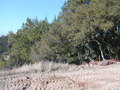 Image file: _2/photo17.jpg