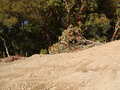 Image file: _2/photo18.jpg