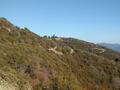 Image file: _2/photo21.jpg