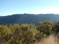 Image file: _2/photo24.jpg