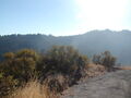 Image file: _2/photo25.jpg