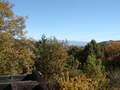 Image file: photo02.jpg