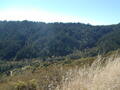 Image file: photo04.jpg