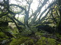 Image file: _1/photo01.jpg