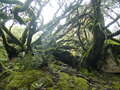 Image file: _1/photo02.jpg