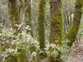 Image file: _1/photo04.jpg