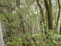Image file: _1/photo05.jpg