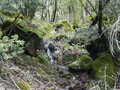 Image file: _1/photo06.jpg