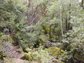 Image file: _1/photo07.jpg
