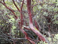 Image file: _1/photo08.jpg