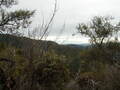Image file: _1/photo09.jpg