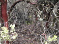 Image file: _1/photo10.jpg