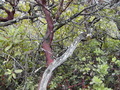 Image file: _1/photo12.jpg