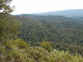 Image file: _1/photo13.jpg