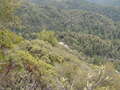 Image file: _1/photo15.jpg
