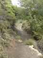 Image file: _1/photo18.jpg