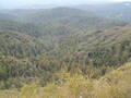 Image file: _2/photo23.jpg