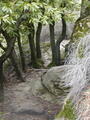 Image file: _2/photo25.jpg