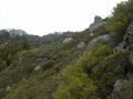 Image file: _2/photo32.jpg
