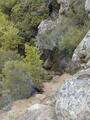 Image file: _2/photo35.jpg