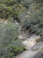 Image file: _2/photo36.jpg