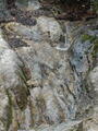 Image file: _2/photo37.jpg