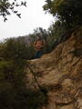 Image file: _2/photo39.jpg