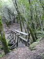 Image file: _2/photo42.jpg