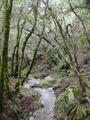 Image file: _2/photo43.jpg