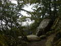 Image file: _3/photo45.jpg