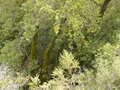 Image file: _3/photo46.jpg