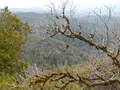 Image file: _3/photo47.jpg