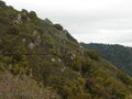 Image file: _3/photo48.jpg