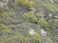 Image file: _3/photo49.jpg