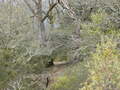Image file: _3/photo51.jpg