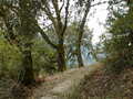 Image file: _3/photo52.jpg