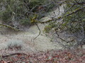 Image file: _3/photo53.jpg