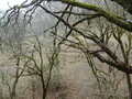 Image file: _3/photo55.jpg